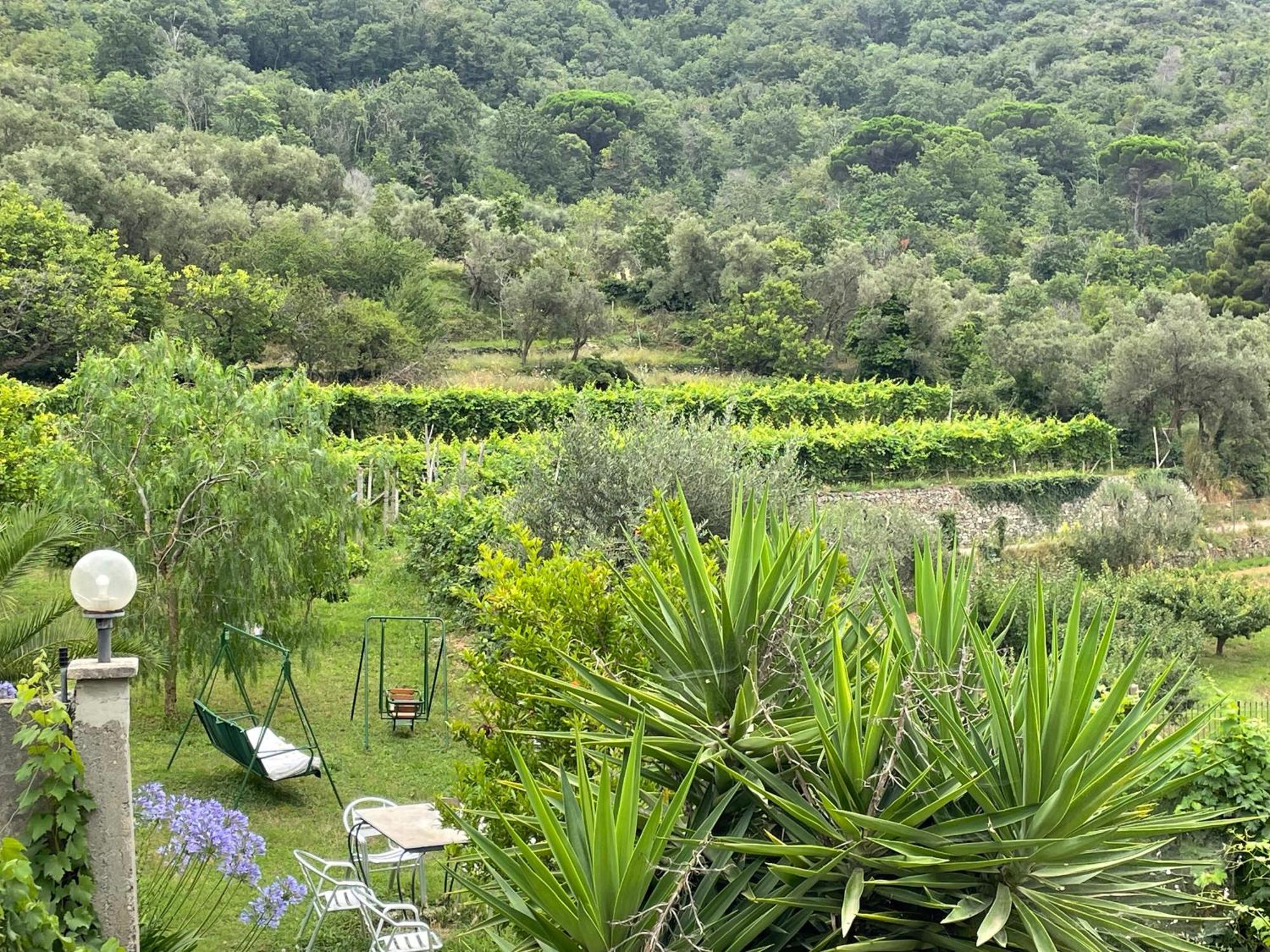 Agriturismo Barilaro Finale Ligure Buitenkant foto